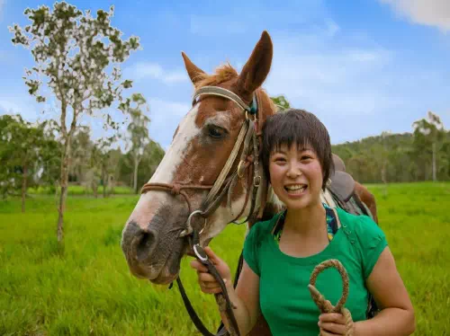 Half Day Horseback Trail Ride from Cairns