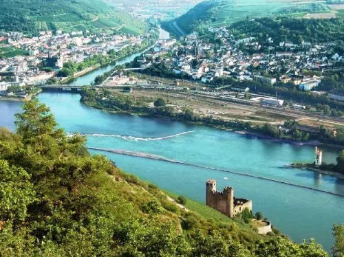 Excursion to Rhine Private Day Tour from Cologne
