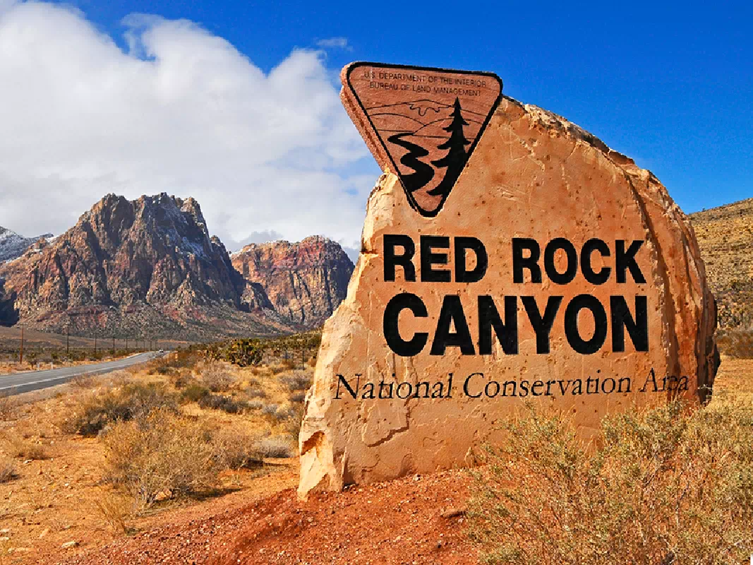 Afternoon Red Rock Canyon Express Sightseeing Tour