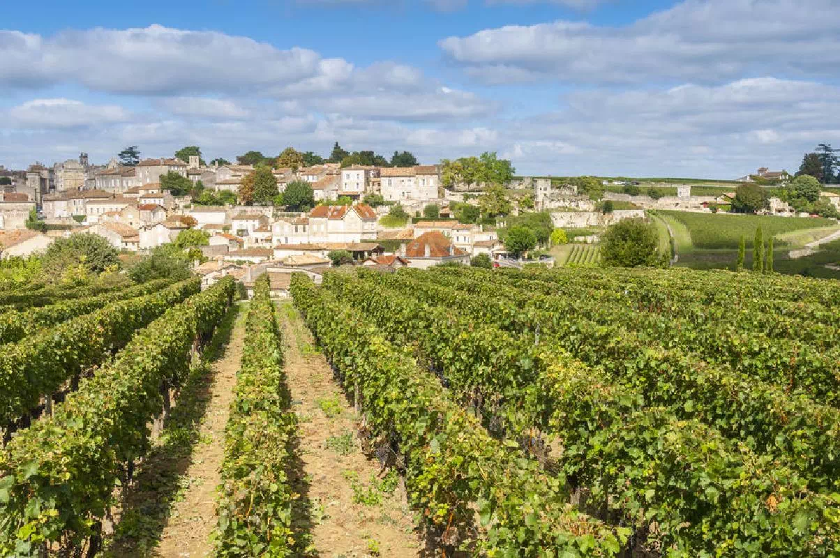 Saint-Emilion Half Day Tour from Bordeaux with Wine Tasting