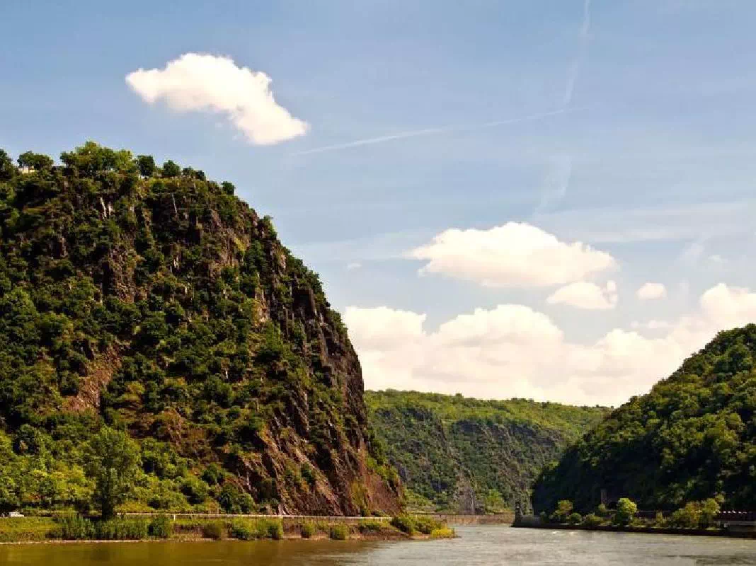 Rhine Valley Cruise and Tour from Frankfurt with Lunch and Wine Tasting