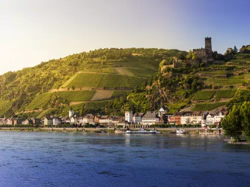 Rhine Valley Cruise and Tour from Frankfurt with Lunch and Wine Tasting
