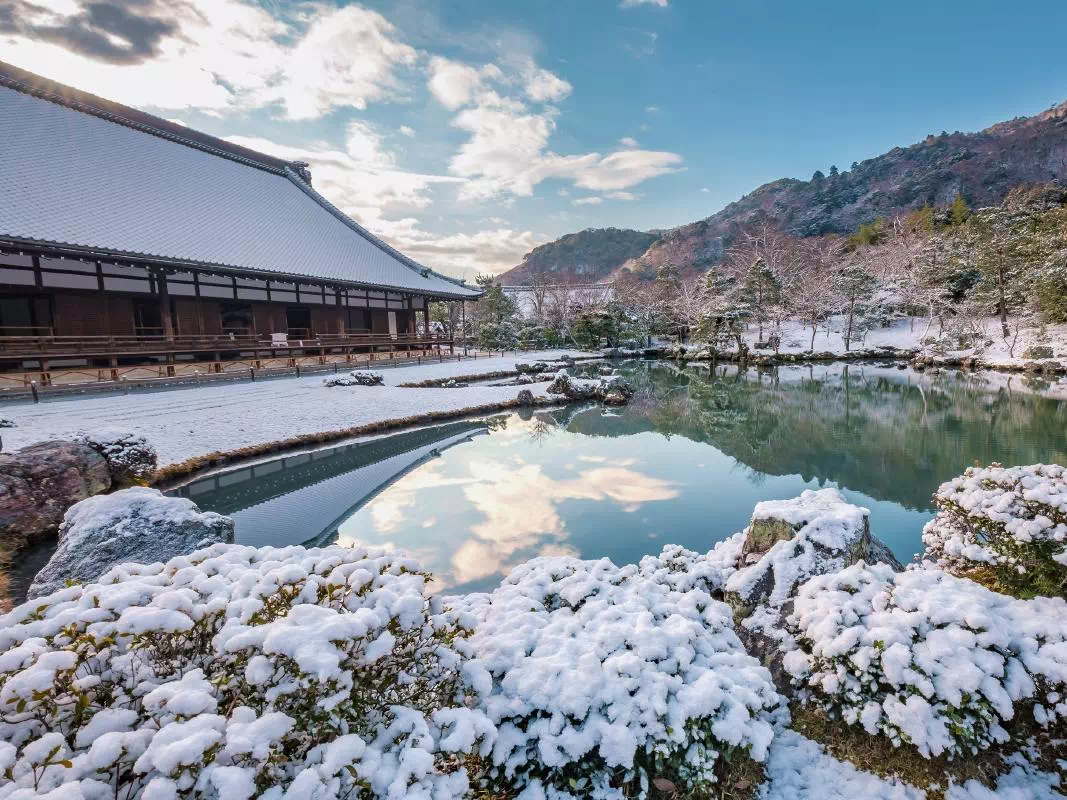 Kyoto Walking Tour to Arashiyama Bamboo Grove, Tenryuji Temple & Jojakkoji