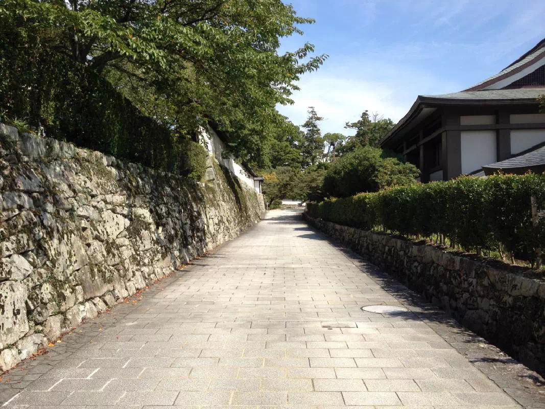 Lake Biwa, Mt. Hiei and Miidera Temple Private Guided Tour from Osaka