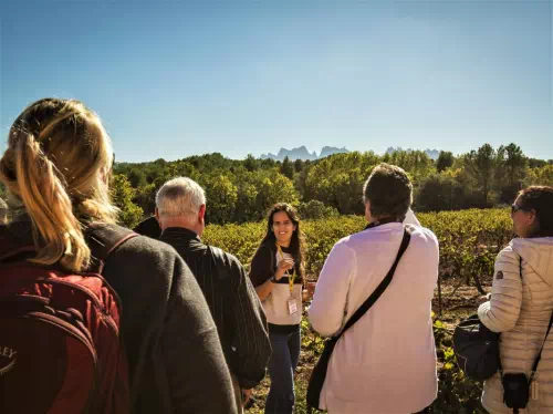Montserrat with Rack Railway and Winery Small-Group Day Tour with Tapas or Lunch