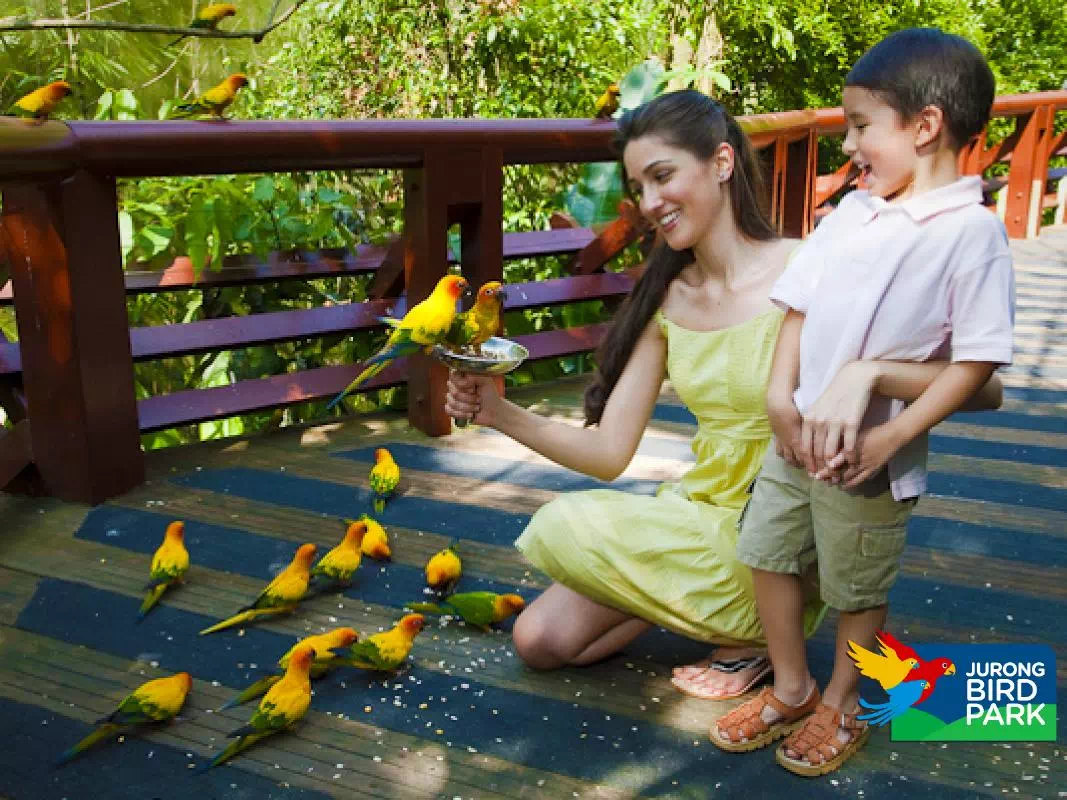 Singapore Jurong Bird Park Ticket with High Flyers Show and Hotel Transfers