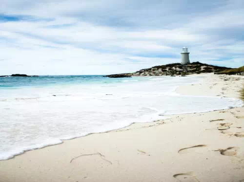 Rottnest Island Scenic Bus Tour with Return Ferry Transfers and Lunch