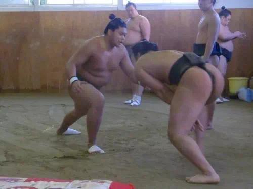 Authentic Sumo Wrestler Morning Practice Viewing in Tokyo