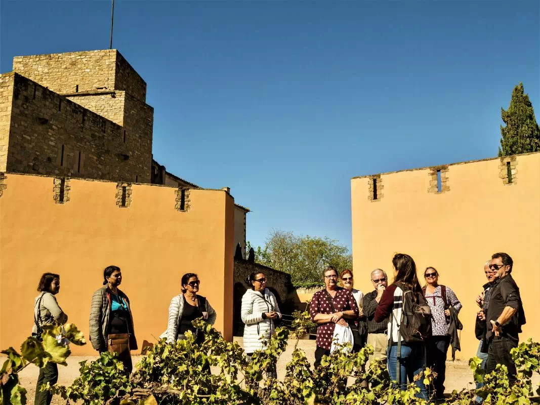 Montserrat and Winery Small Group Day Tour from Barcelona with Gourmet Lunch