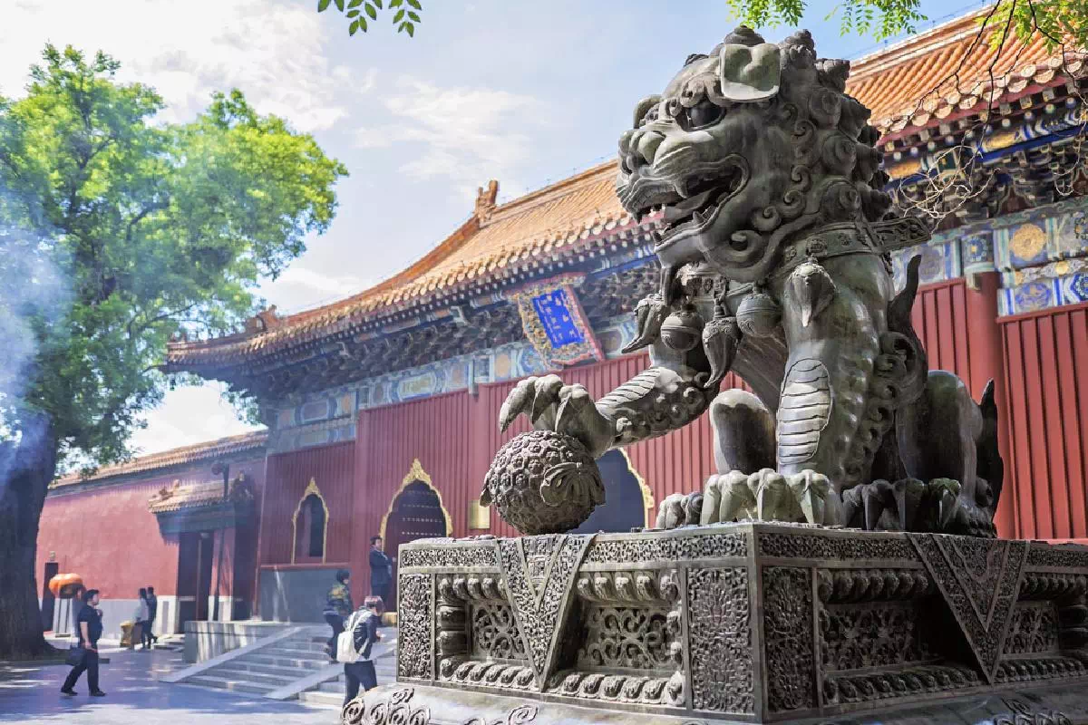Beijing Full Day Historical Tour with Summer Palace and Panda Garden Visits