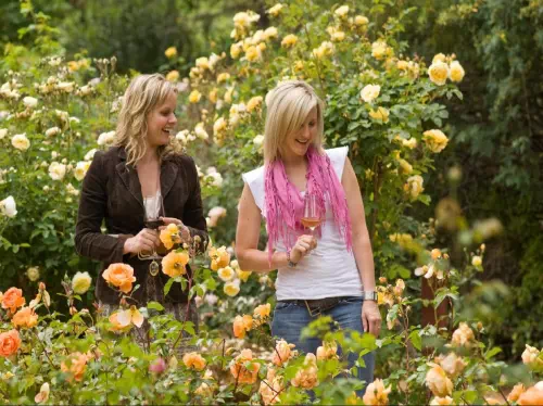 Grand Barossa Valley & Adelaide Hills Tour with Wine Tasting and Hahndorf Visit