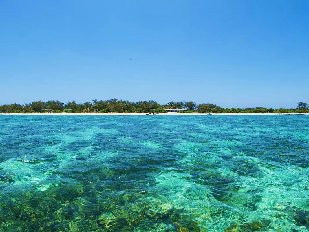 Great Barrier Reef and Lady Elliot Island Tour from Brisbane
