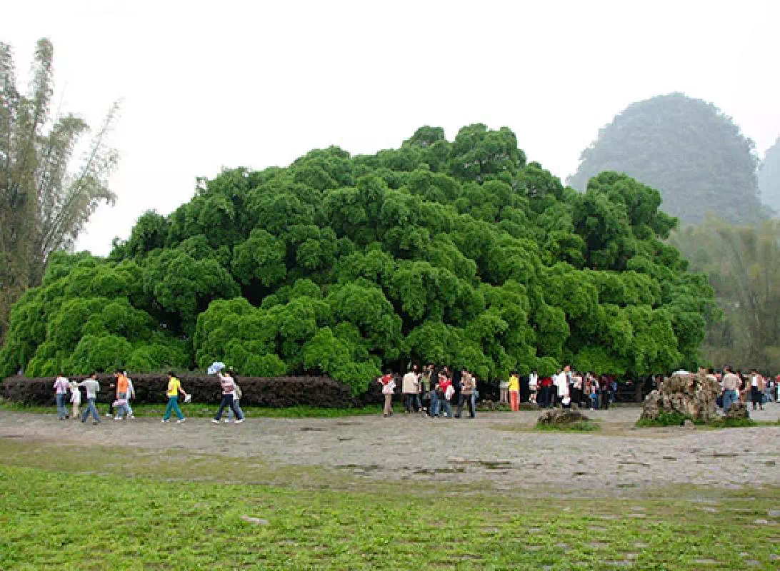 Yangshuo Moon Hill, Big Banyan, and West Street with Yulong River Bamboo Rafting