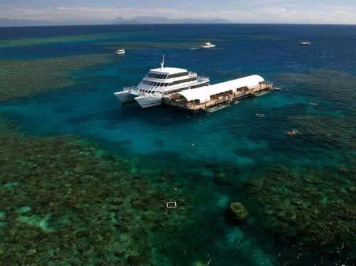 Great Barrier Reef Full Day Tour from Cairns with Reef Magic Cruise