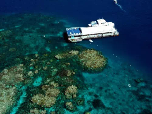 Great Barrier Reef Full Day Tour from Cairns with Reef Magic Cruise