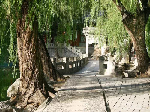 Historic Beijing II: Full Day Private Sightseeing Tour with Panda Garden Visit