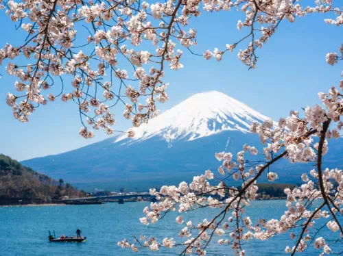 Mt. Fuji Tour  from Shinjuku with Flower Viewing and Fruit Picking