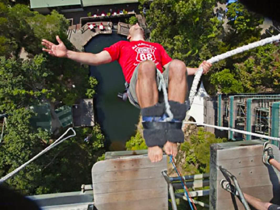 Cairns AJ Hackett Extreme BMX Bungy Jump Combo with Pick-up