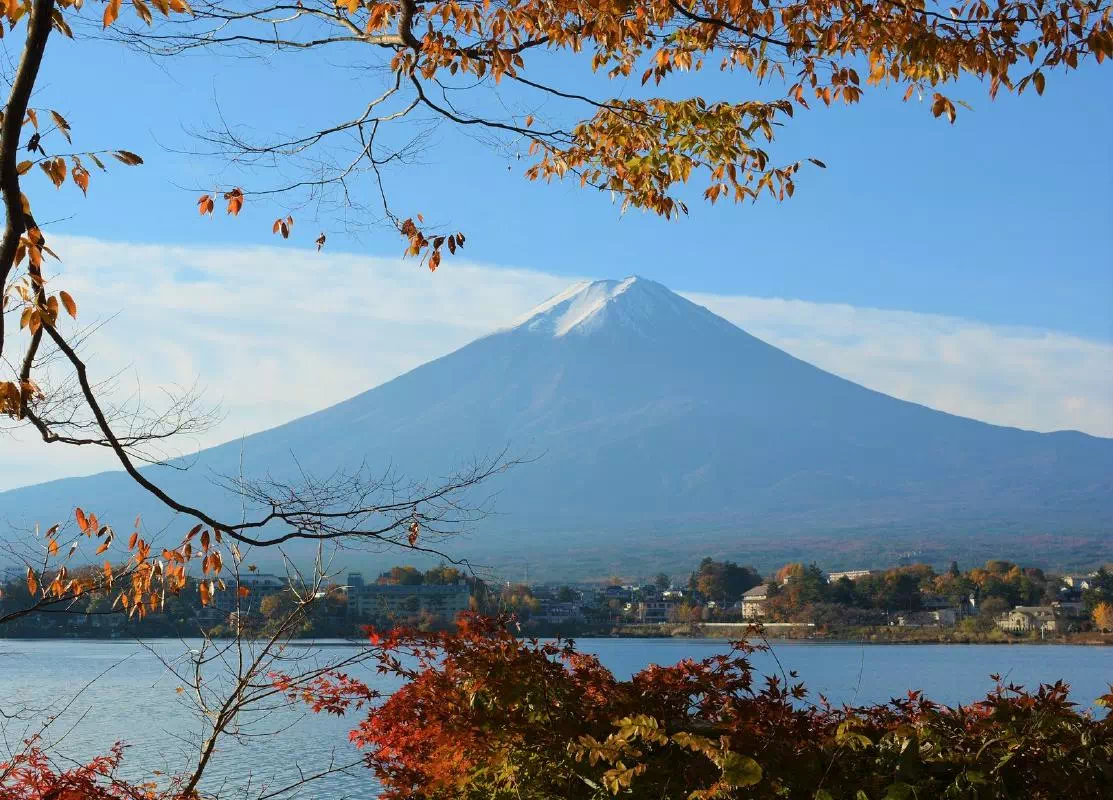 Mt. Fuji Viewing Tour from Shinjuku with Arakurayama Sengen Park & Fruit Picking