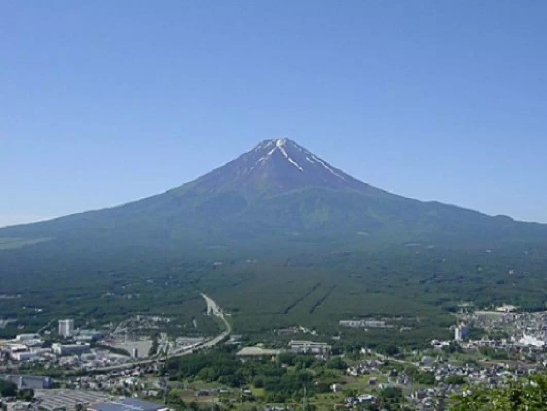 Mt. Fuji Viewing Tour from Shinjuku with Arakurayama Sengen Park & Fruit Picking
