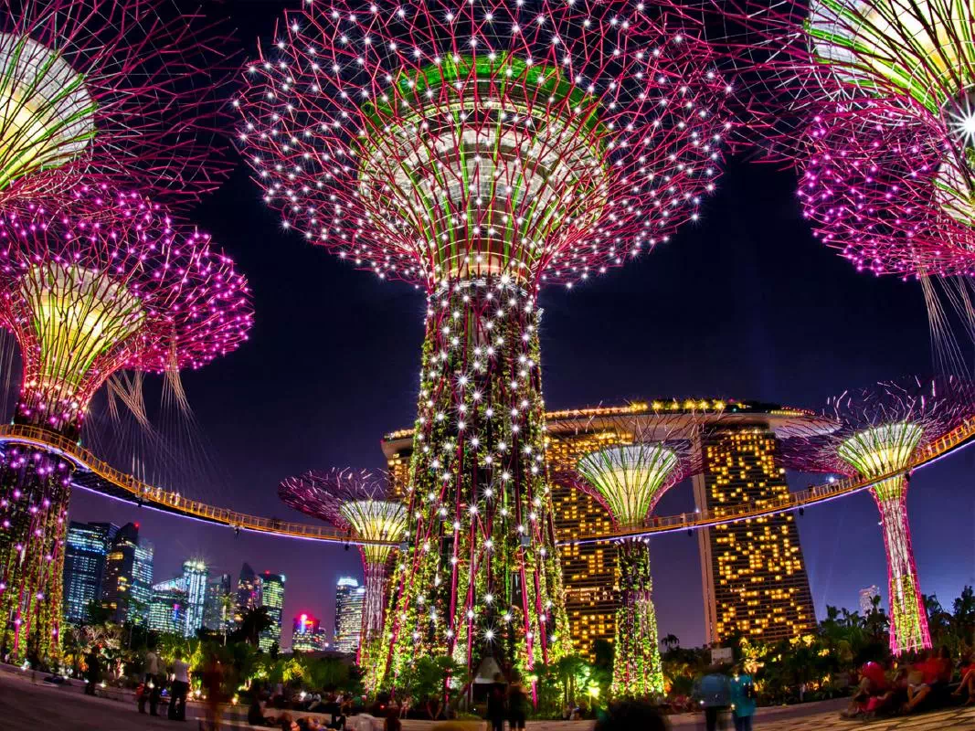 Marina Bay Singapore Night Tour with Gardens by the Bay & Sands SkyPark