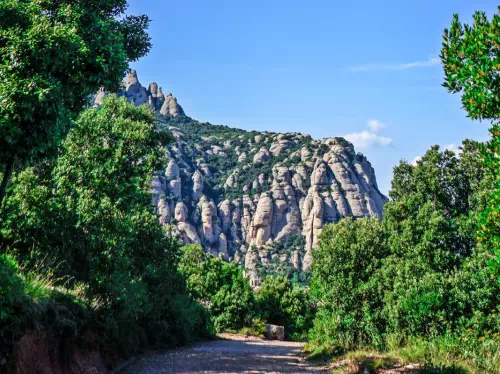 Barcelona and Montserrat Small Group Tour with Hotel or Cruise Pick-Up