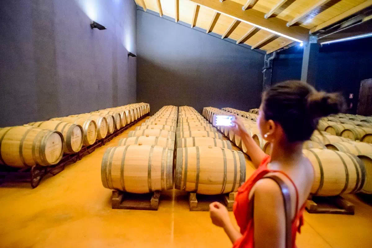 Penedes Wineries and Vineyards Tour with Wine and Cava Tasting from Barcelona