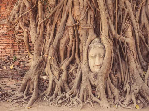 Ancient Ayutthaya Full Day Tour from Bangkok with Buffet Lunch River Cruise