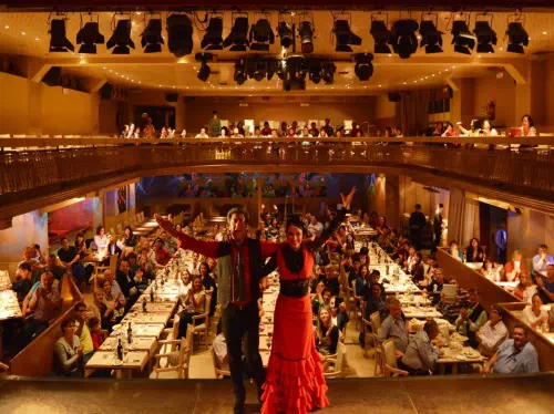 Barcelona Palacio del Flamenco Show with Dinner