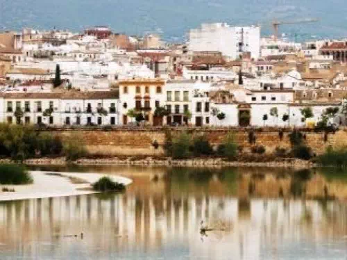 Cordoba and Seville 2-Day Trip from Madrid with Overnight Stay in Seville