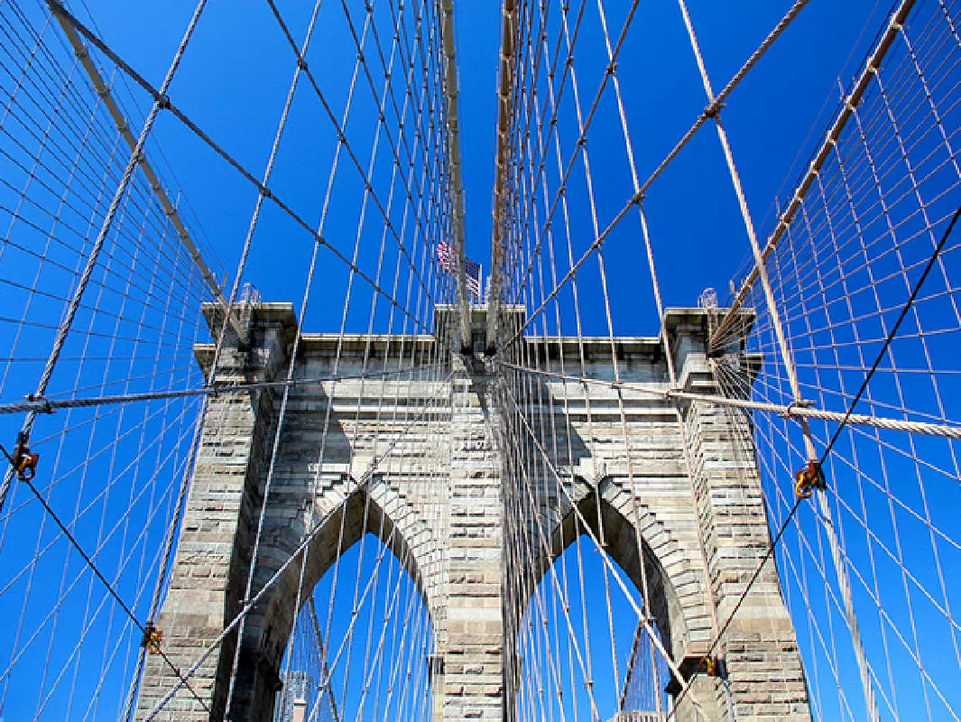 Brooklyn Bridge Photo Safari & Sightseeing Tour
