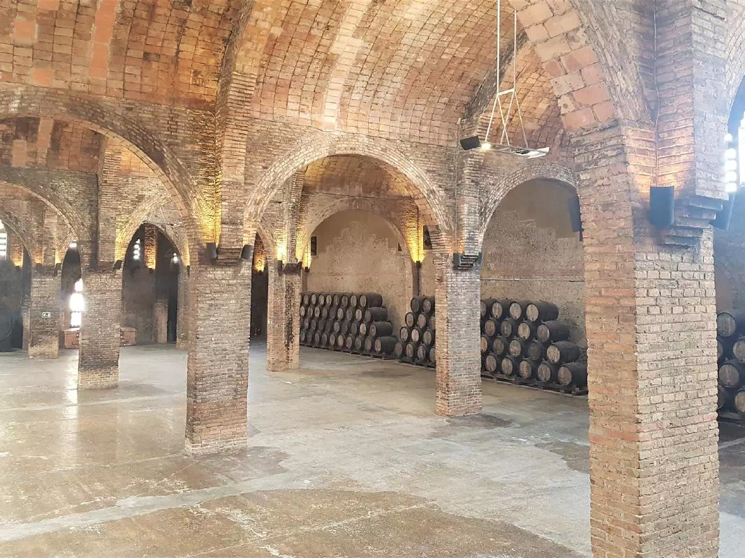 Cava and Wine Full Day Small Group Tour from Barcelona with Visit to 3 Wineries