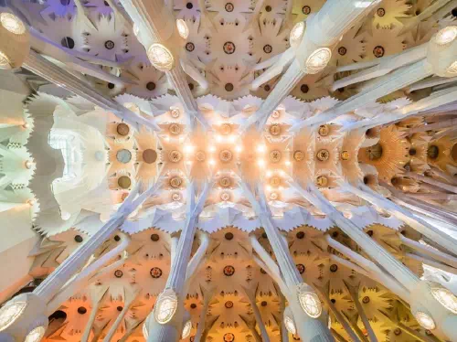 Barcelona Private Tour with VIP Access Sagrada Familia and 3-Course Luxury Meal