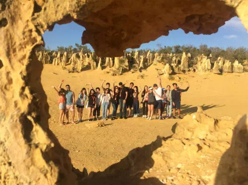 Full Day Pinnacles, Yanchep National Park and Sandboarding Tour from Perth