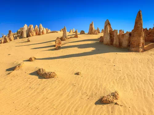 Full Day Pinnacles, Yanchep National Park and Sandboarding Tour from Perth