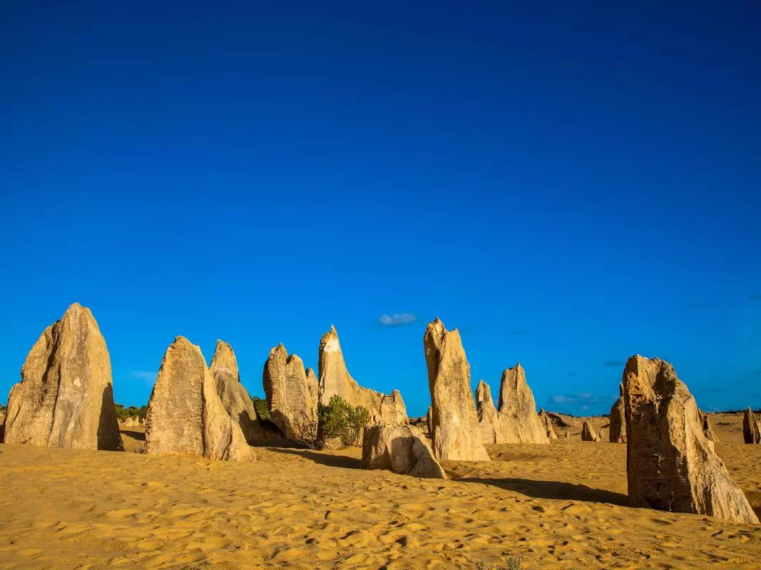 Wave Rock and Pinnacles Day Tour with Scenic Flight from Perth