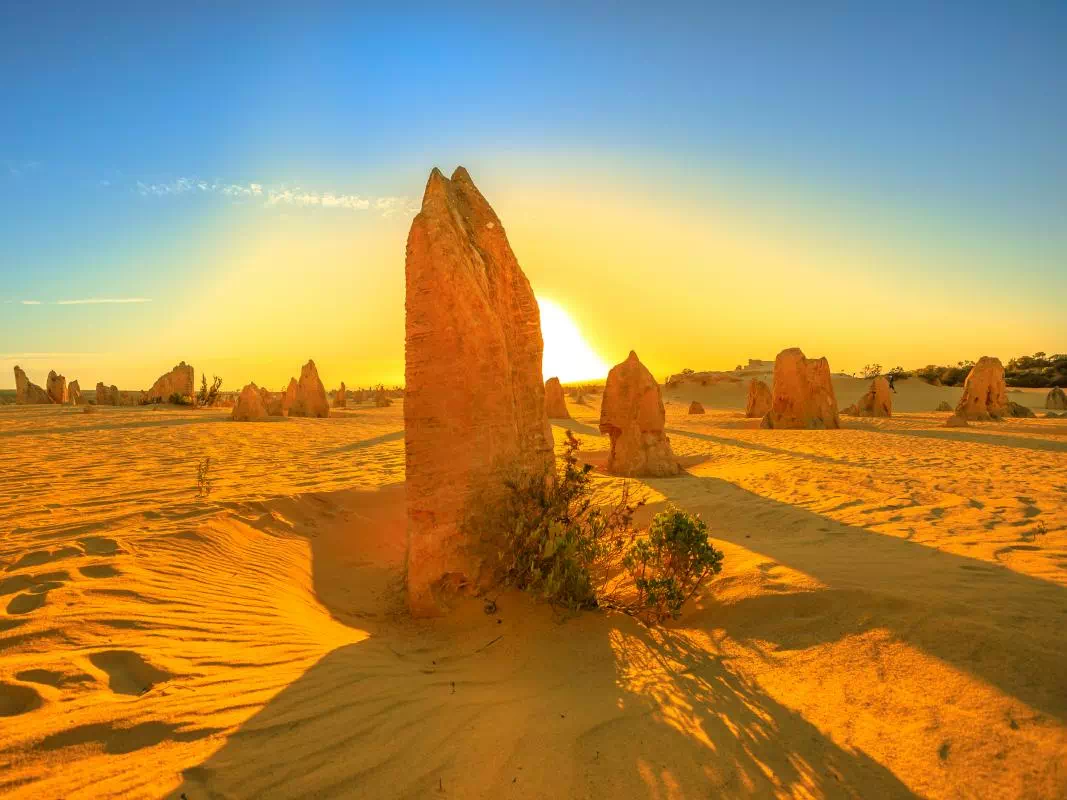 Pinnacles Desert Sunset Tour from Perth with Yanchep National Park Visit