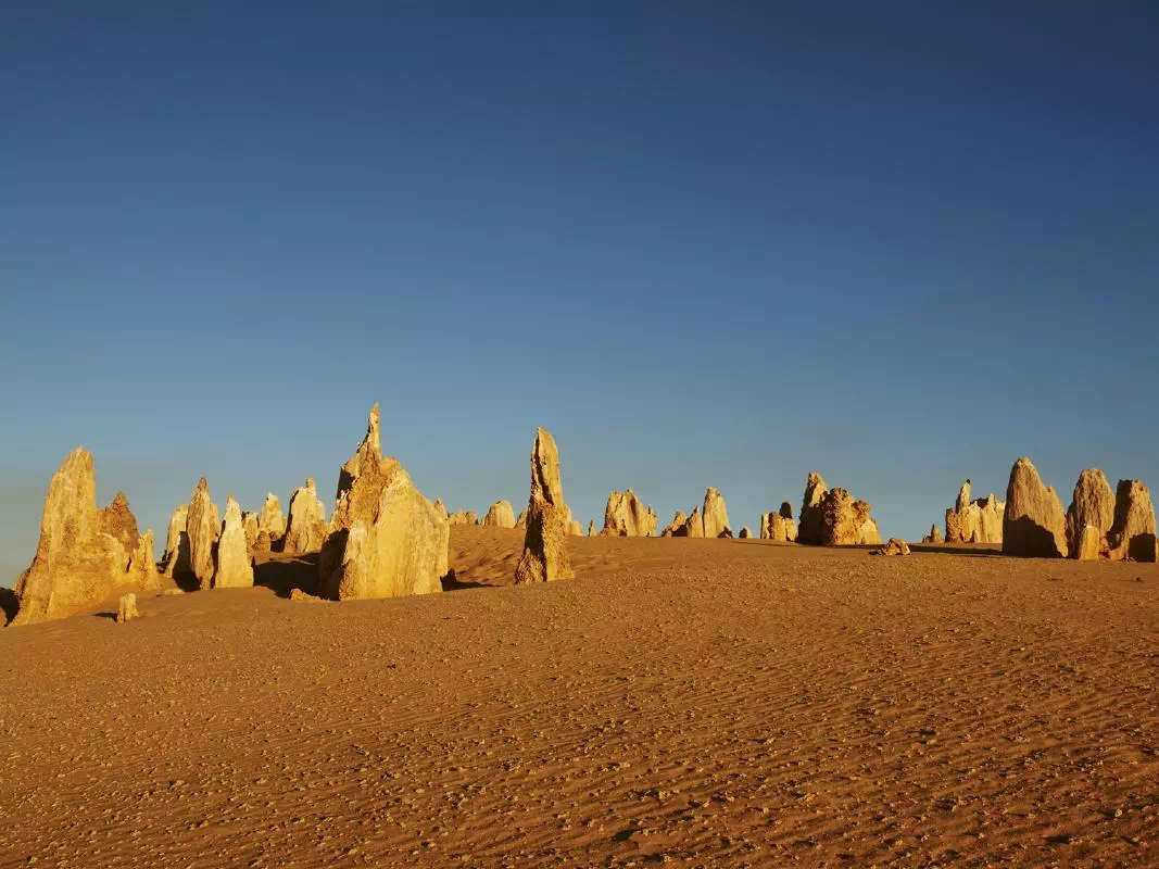 Pinnacles Desert Sunset Tour from Perth with Yanchep National Park Visit