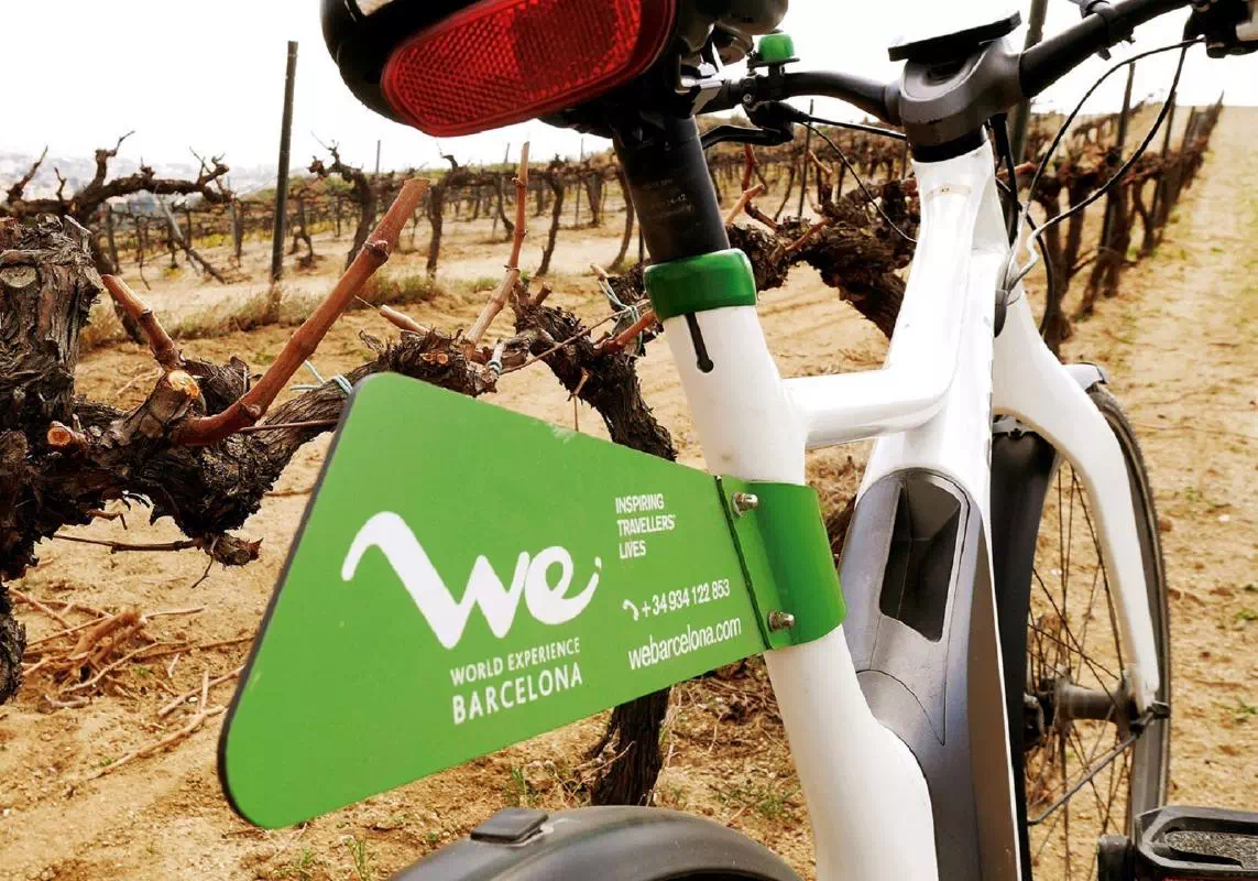 Alella Wine Tour from Barcelona by E-Bike with Gourmet Picnic Lunch