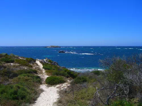 Rottnest Island Day Tour from Perth with Buffet Lunch