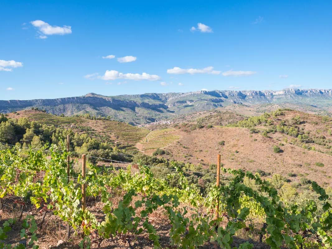 Catalonia, Priorato Wine Region, Serra de Montsant & Barcelona 7 Day Hiking Trip
