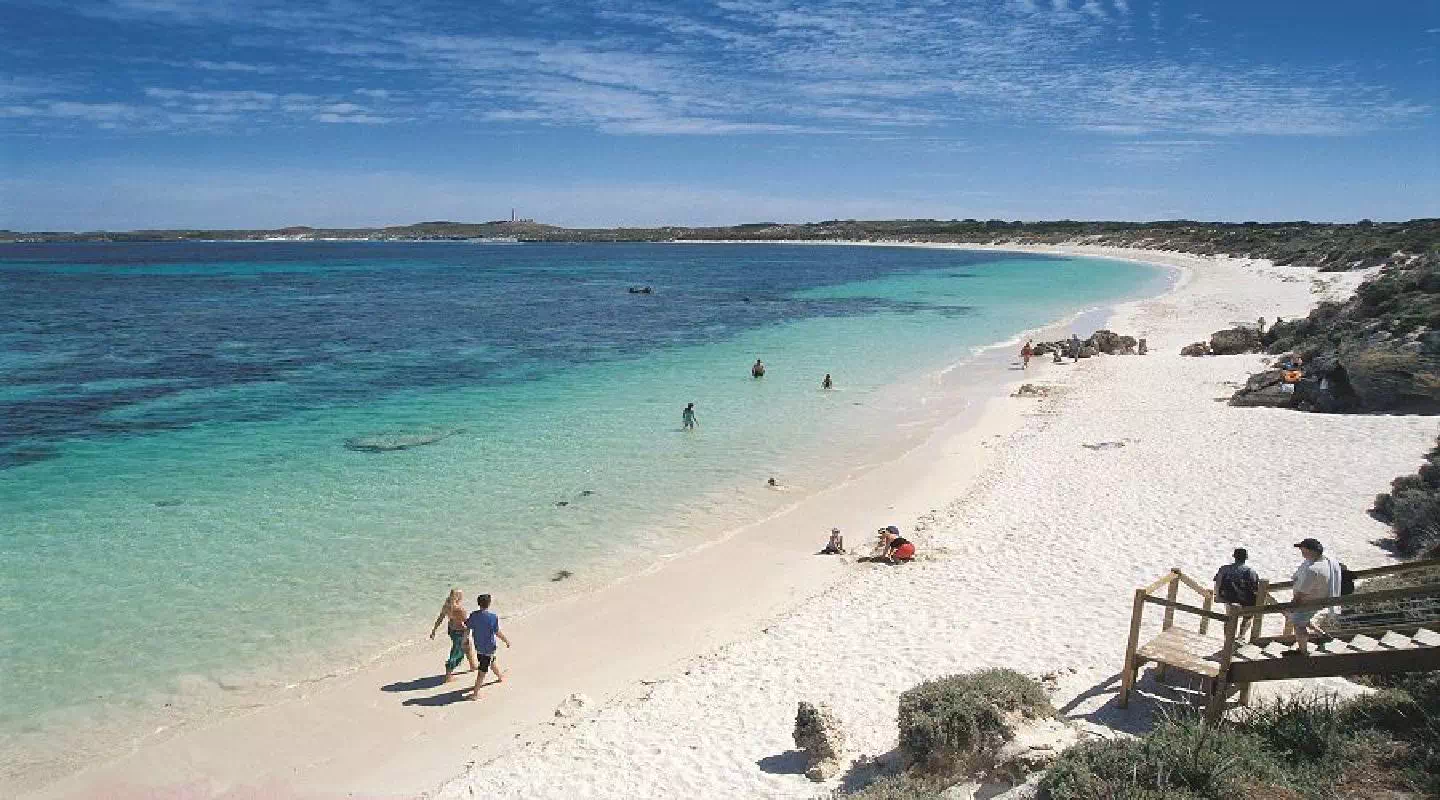 Full Day Rottnest Island Guided Tour with Ferry Transfer from Perth