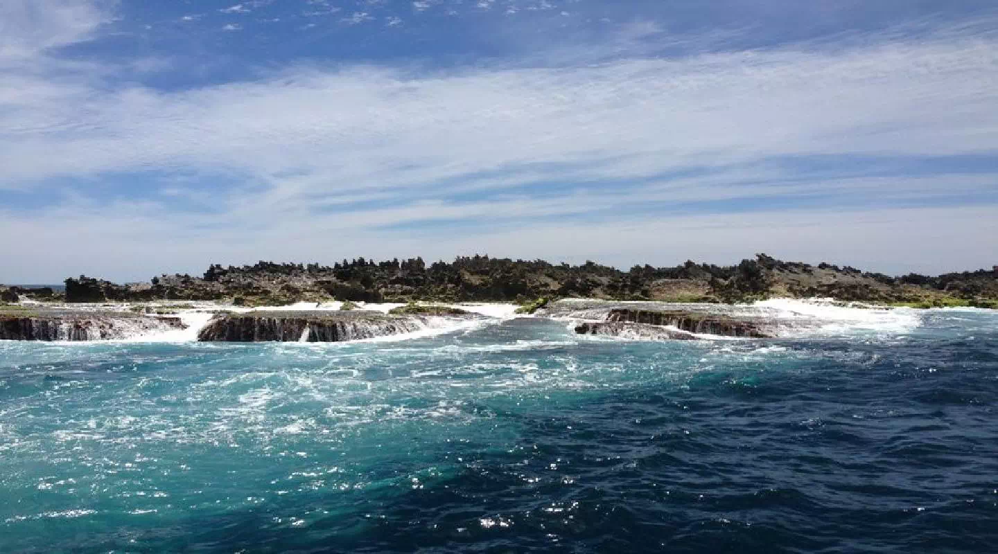 Full Day Rottnest Island Guided Tour with Ferry Transfer from Perth