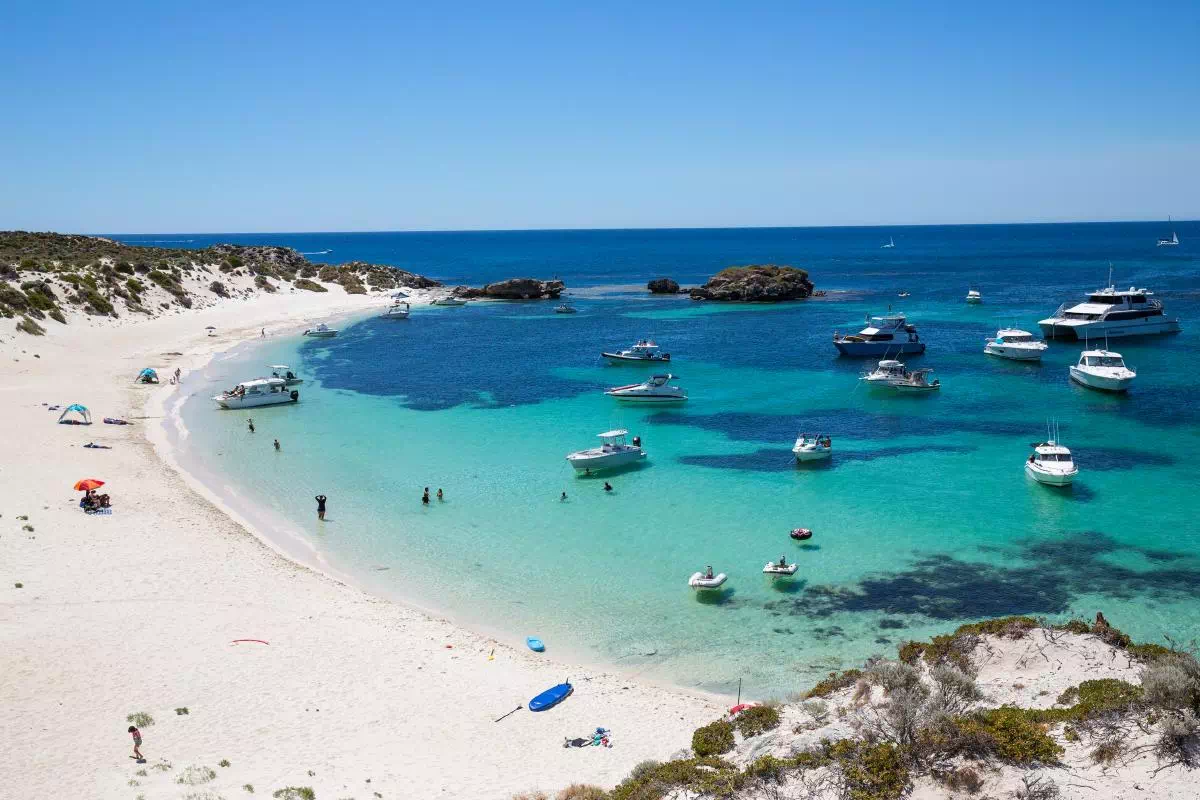 Half Day Rottnest Island Tour with Low Level Flight from Perth
