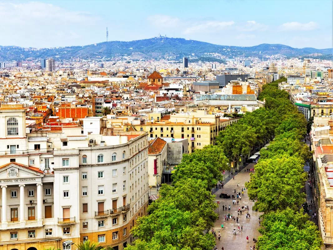 Barcelona Half Day Private City Sightseeing Tour