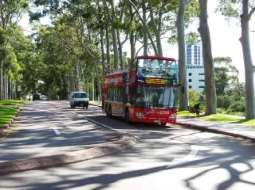 Perth Hop-On Hop-Off Sightseeing Bus Tour by Open-Top Double-Decker Bus 