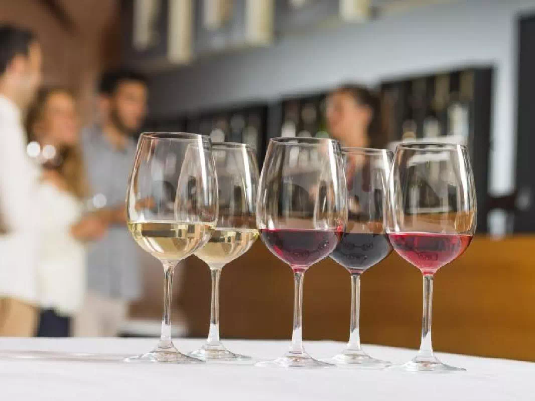 Barcelona Wine and Cava Tasting Day Tour with 3 Wineries Visit