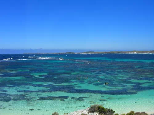 Rottnest Island Ferry Transfer from Perth with Guided Tour and Bike Hire Option