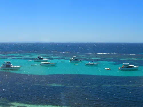 Rottnest Island Ferry Transfer from Perth with Guided Tour and Bike Hire Option