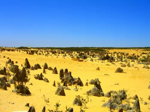 New Norcia Full Day Tour with Visit to The Pinnacles from Perth